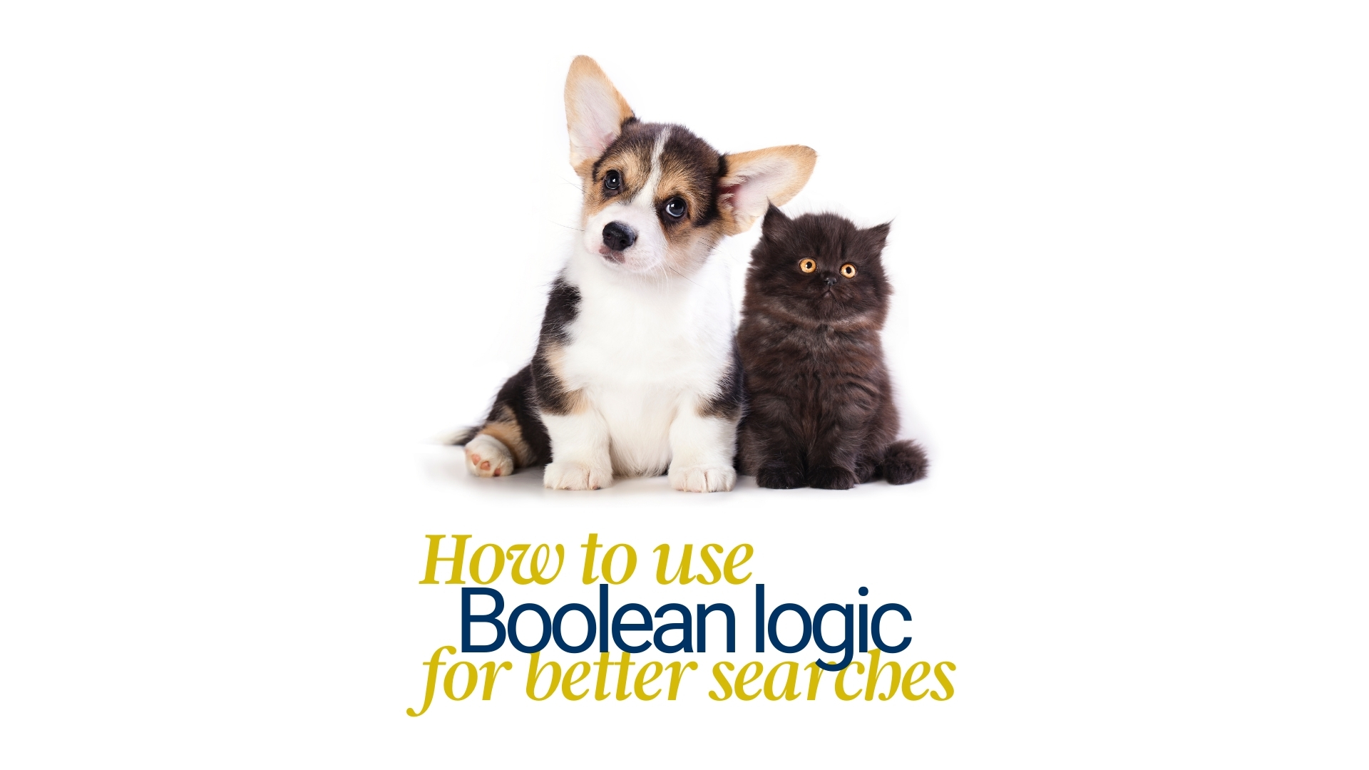 How to use Boolean logic for better searches
