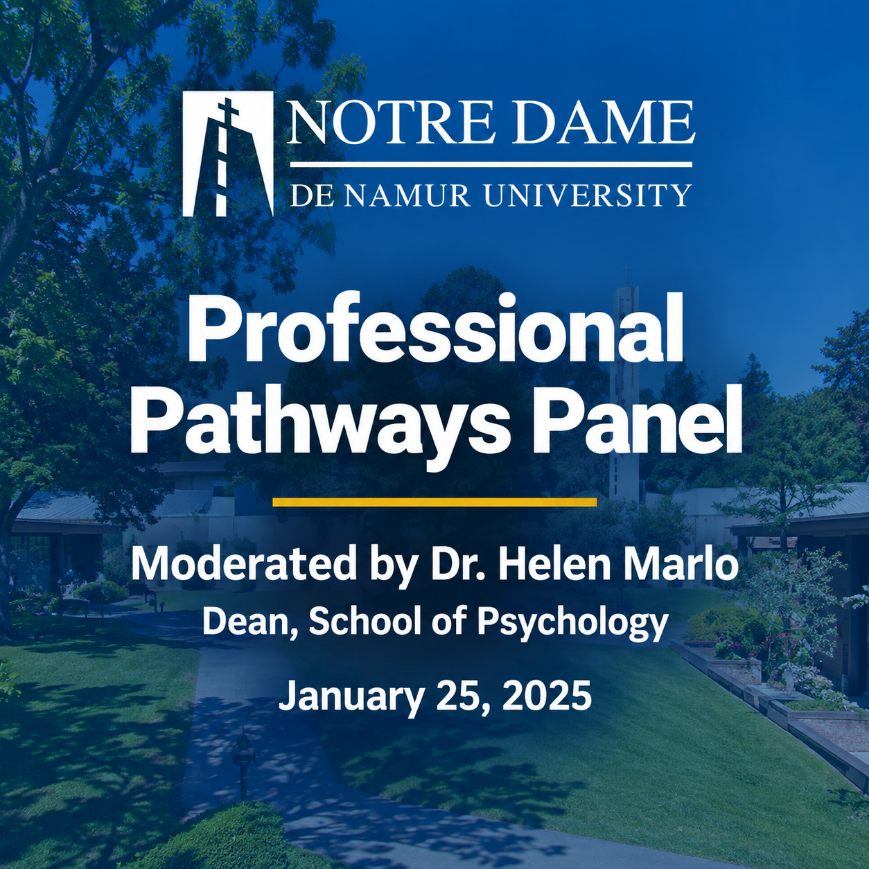 Professional Pathways Panel (2025)