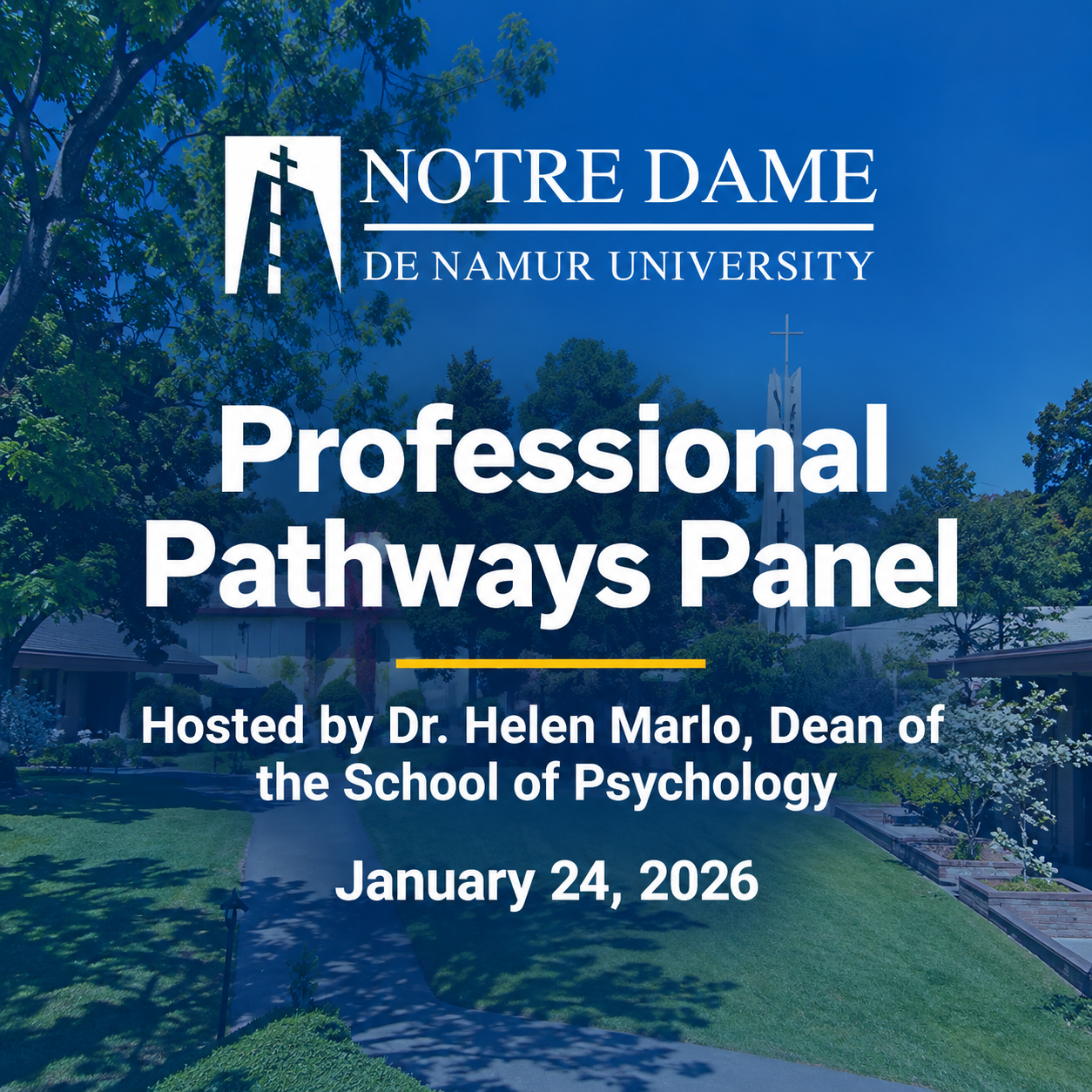 Professional Pathways Panel (2026)